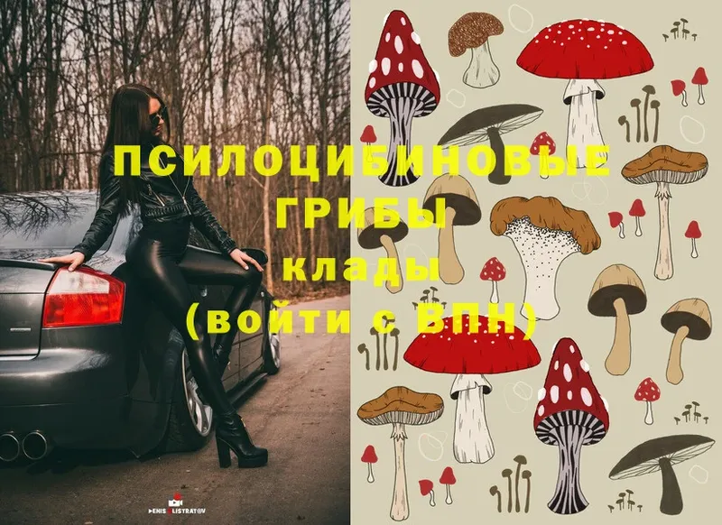 Галлюциногенные грибы Magic Shrooms  где продают наркотики  Улан-Удэ 